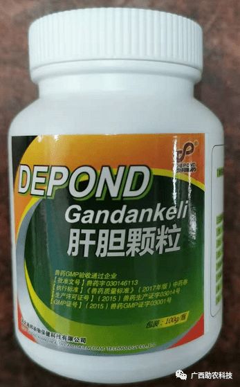 雞球蟲的辨別及用藥方案