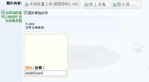 圖片系統(tǒng)上傳圖片錯誤 領(lǐng)先建站cms提供服務商 我們專注于cms建站產(chǎn)品的研發(fā)